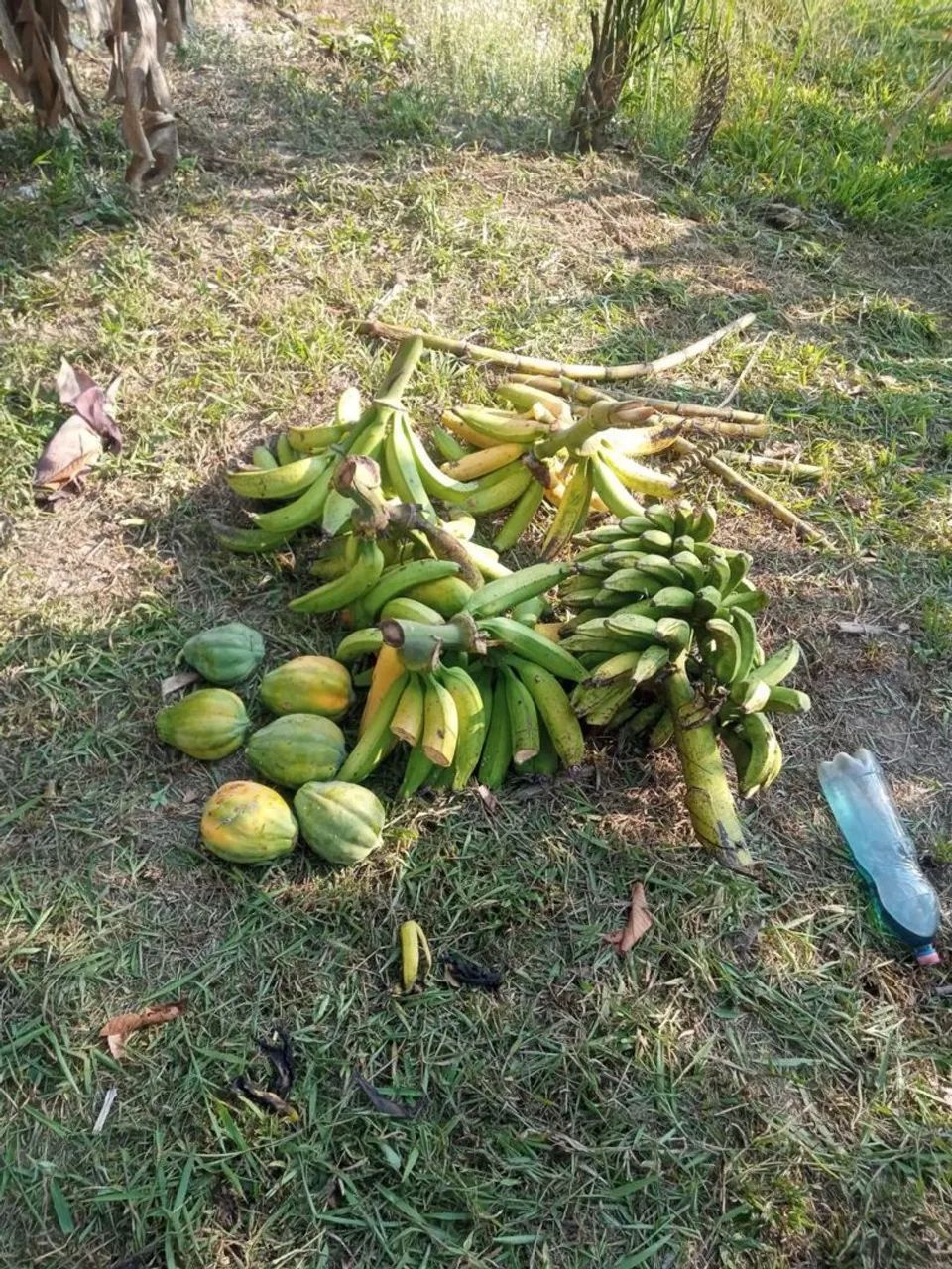 Vendo essa chácara no mutum 35.000 - Foto 4