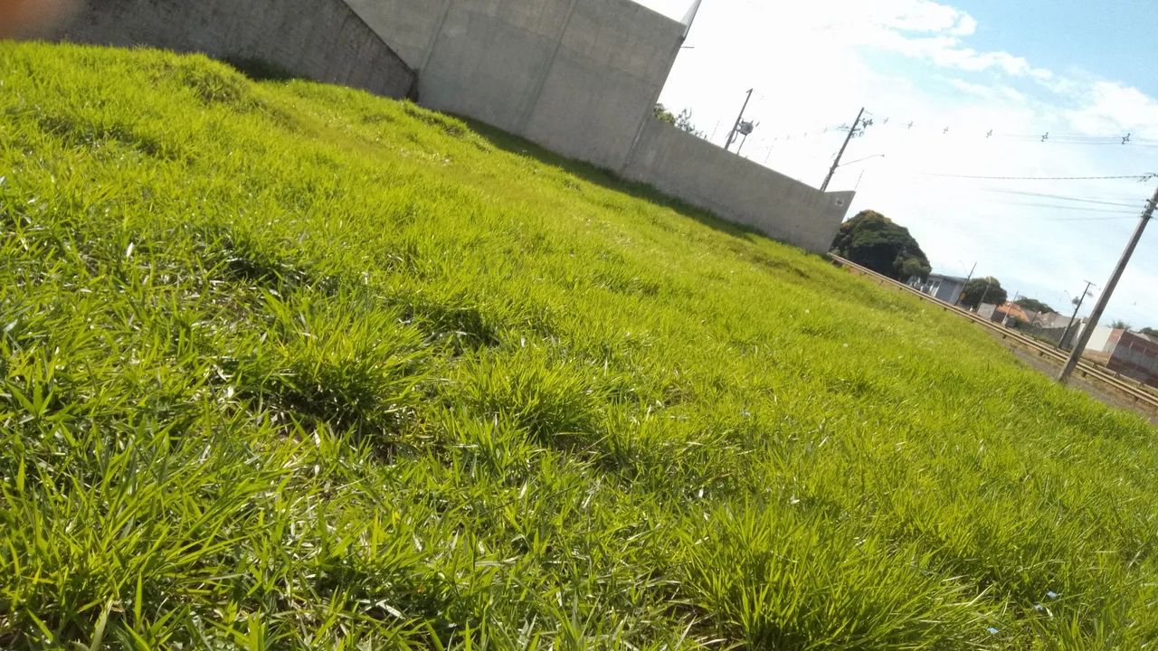Cassiano roçadas gerais  - Foto 4