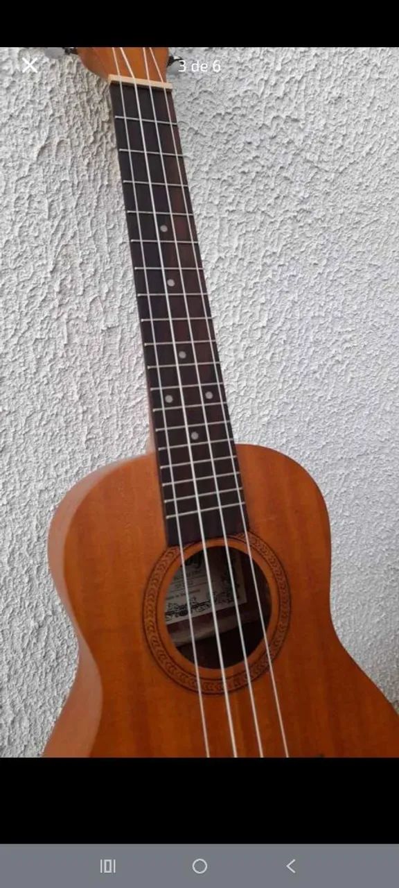 Ukulele Consert - Foto 3
