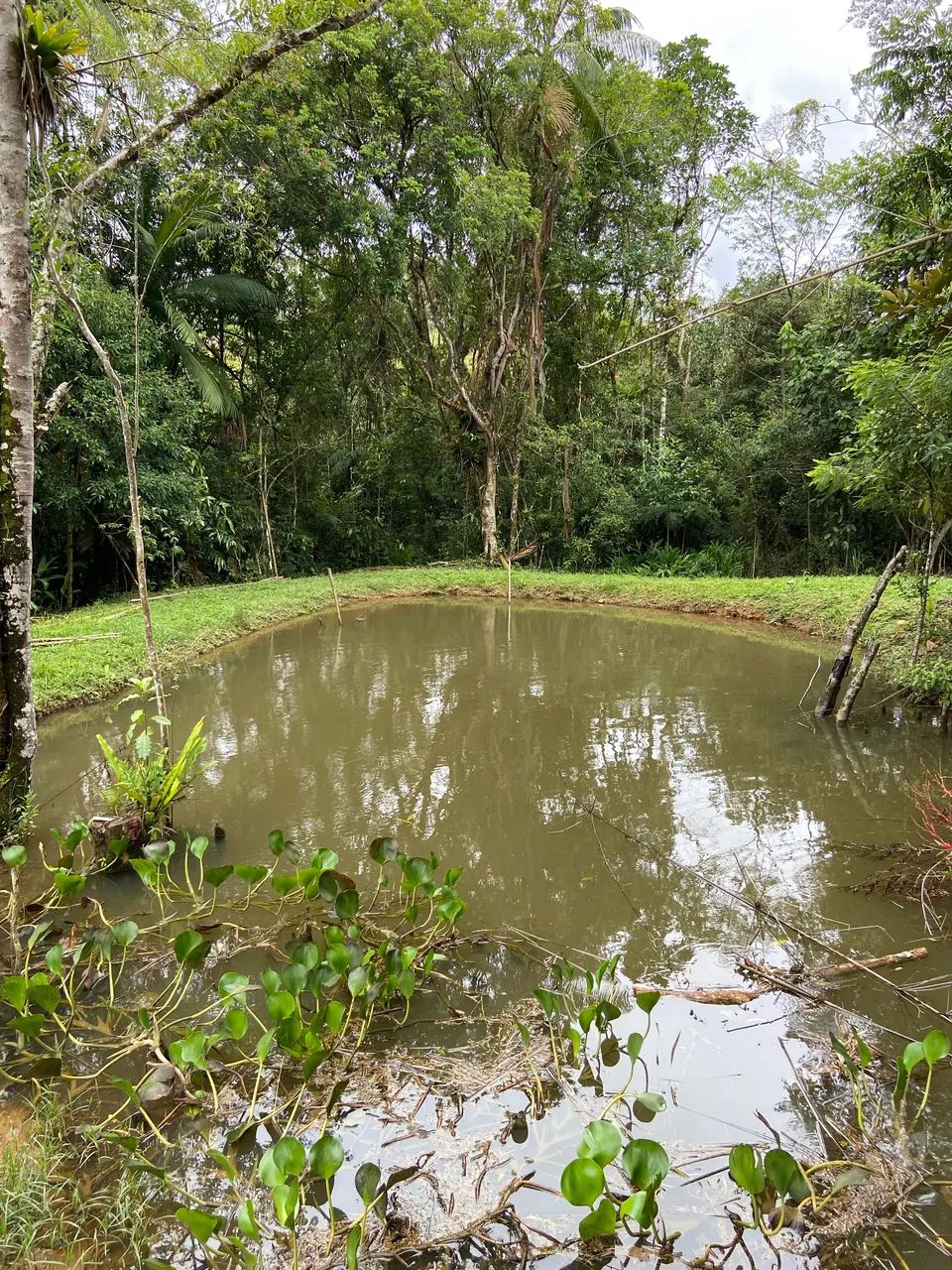 Foto - Salesópolis - 