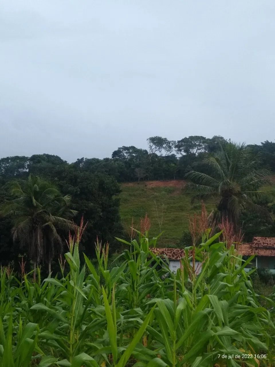 Sítio  - Foto 5