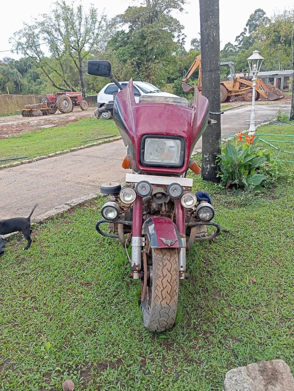Amazonas a venda ,para restaurador 