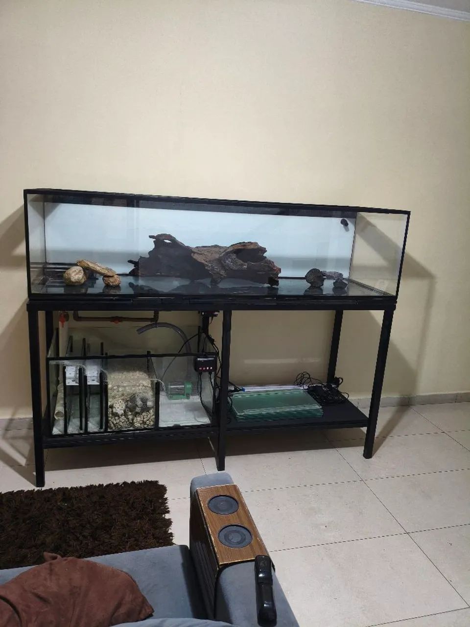 Aquário completo  - Foto 2