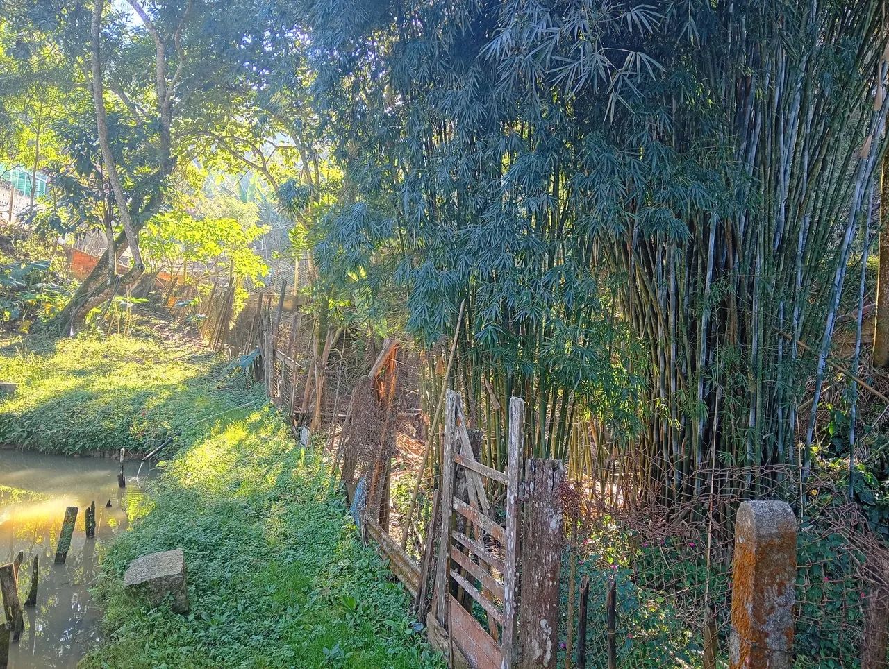 Chácaras e sítios a venda  - Foto 6