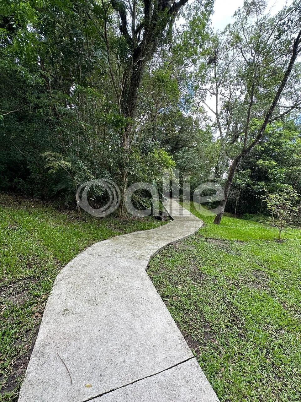 Apartamento 2 quartos no Uberaba - Foto 4