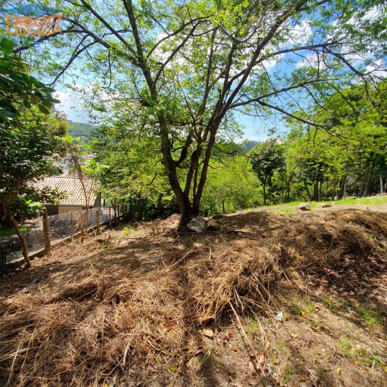 Terreno - Florianópolis SC - Foto 3