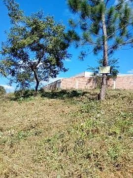 Lote em São Joaquim de Bicas - Foto 3