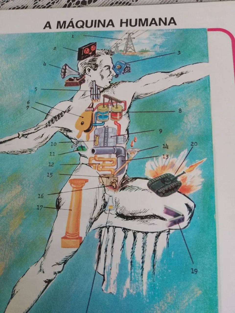 Atlas de anatomia  - Foto 4
