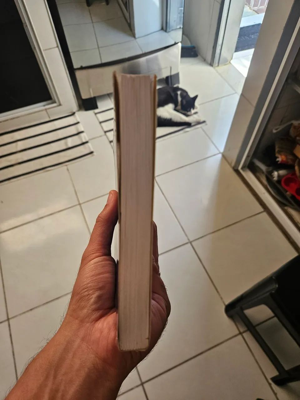 Isis sem véu volume 1 - Foto 3