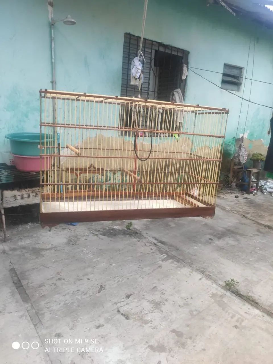 Gaiola voadora  - Foto 2
