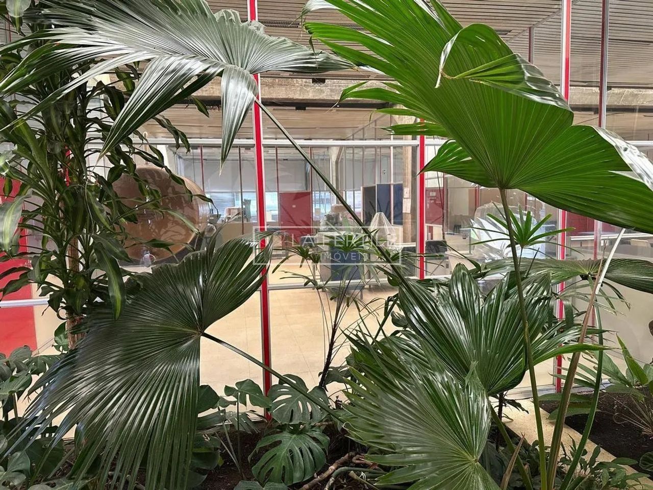 Barracão, 1050M², Aluguel de R$ 32.000,00 + Taxas - Dom Rodrigo, São José dos Pinhais (Pr) - Foto 3