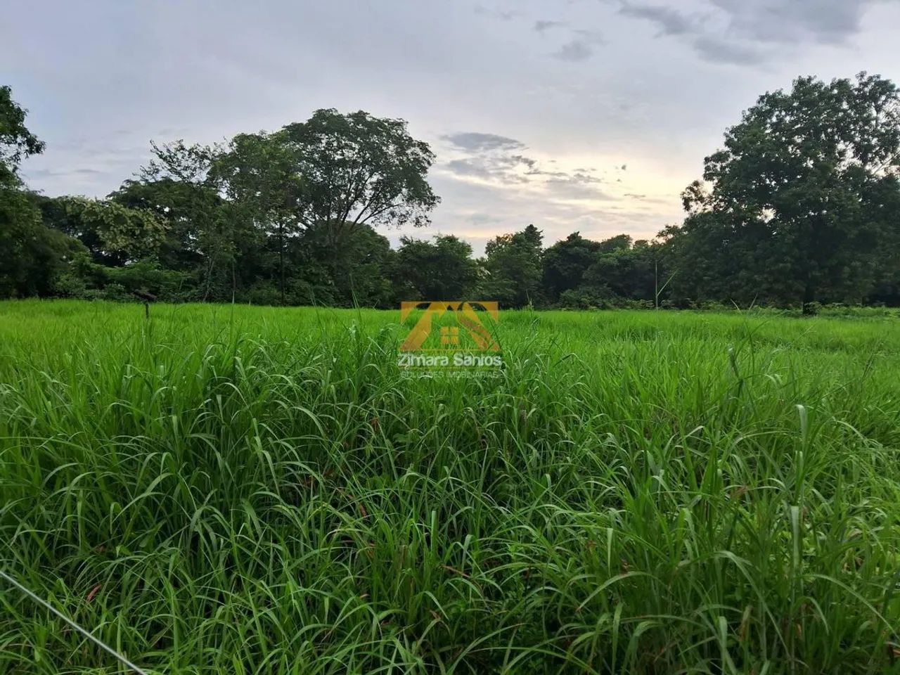 Fazenda com 1 Quarto à Venda - Aparecida do Rio Negro - Foto 4