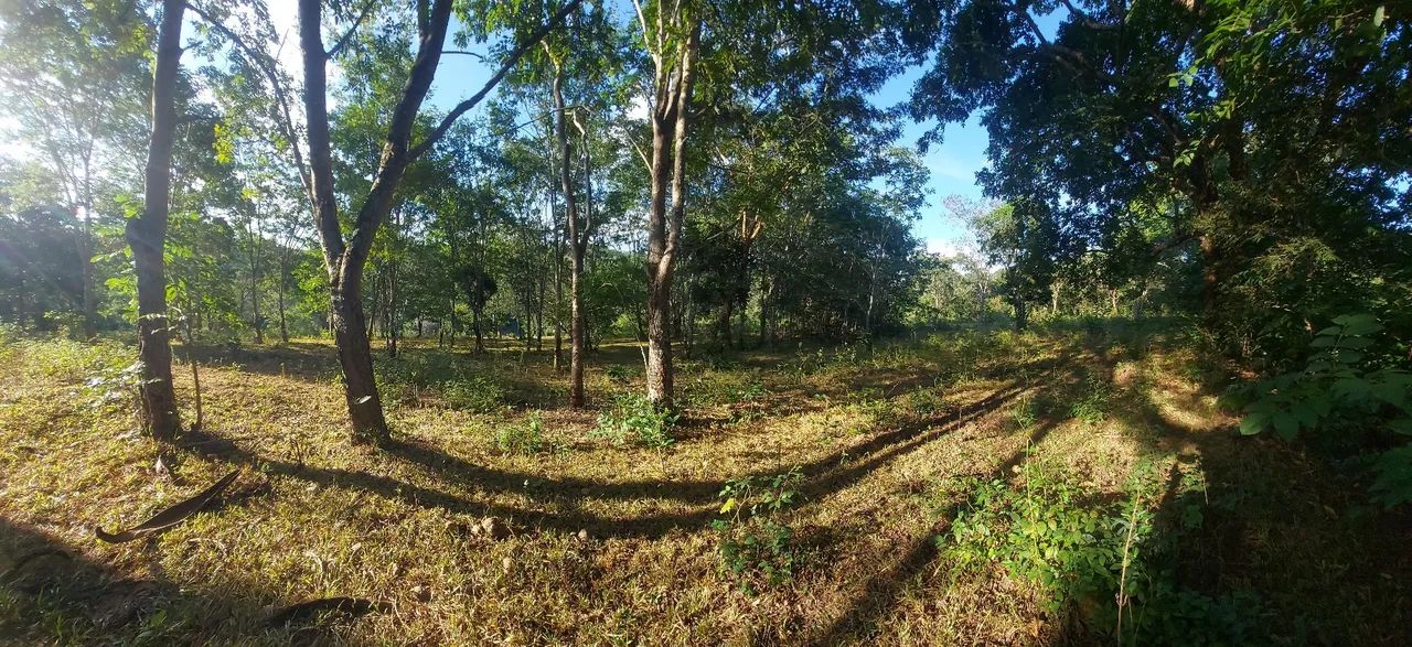 Terreno Comercial as margens da MG 010 - Foto 8