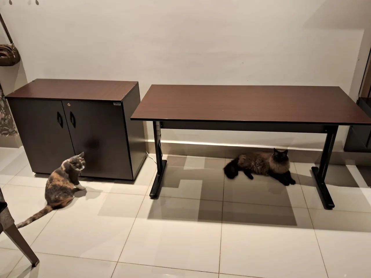 Vendo Mesa de computador e armario - Foto 2