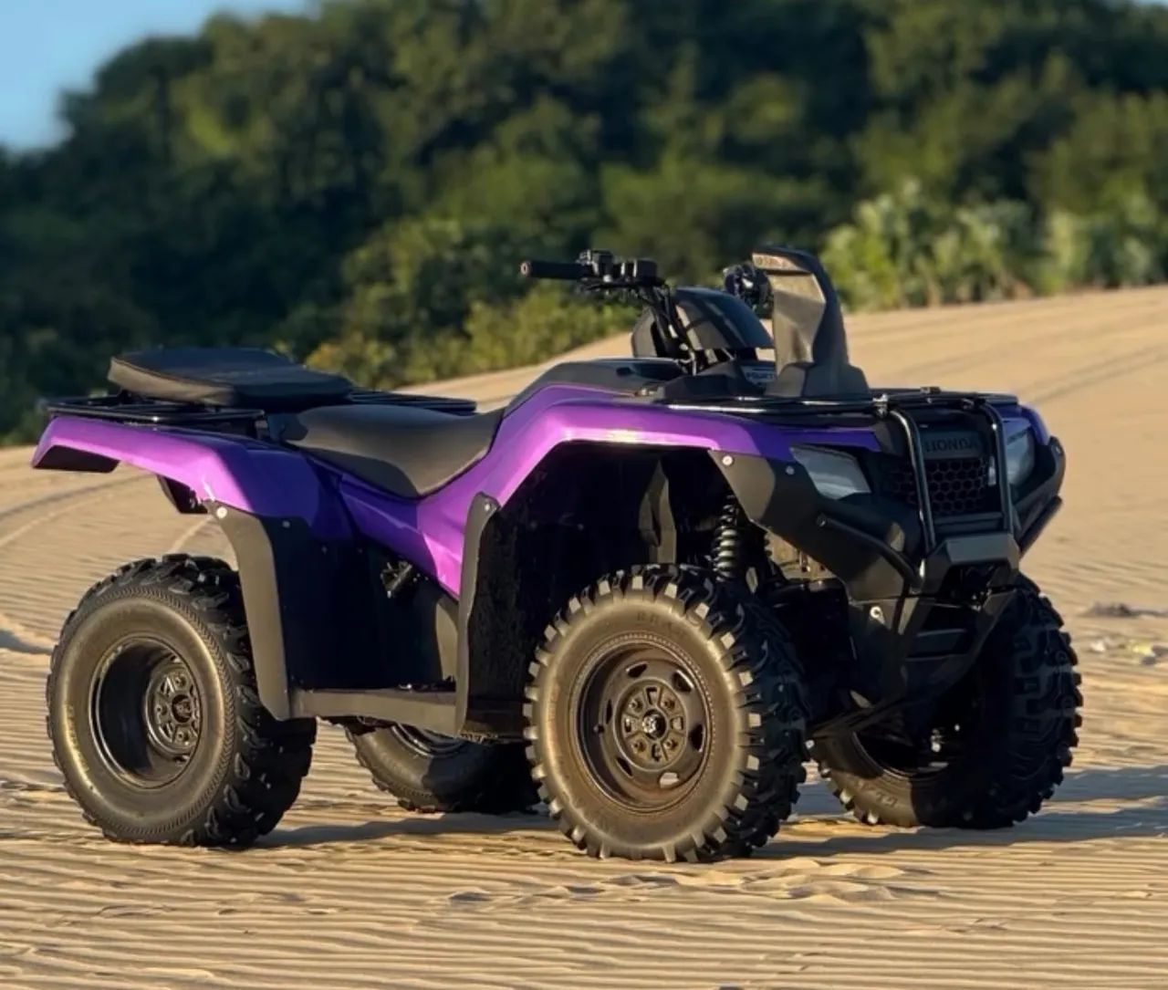 Fourtrax 2019 420x 4x4 + Carrocinha - Foto 2