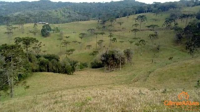 Fazenda para Venda, São Bento do Sul / SC, bairro Sertãozinho