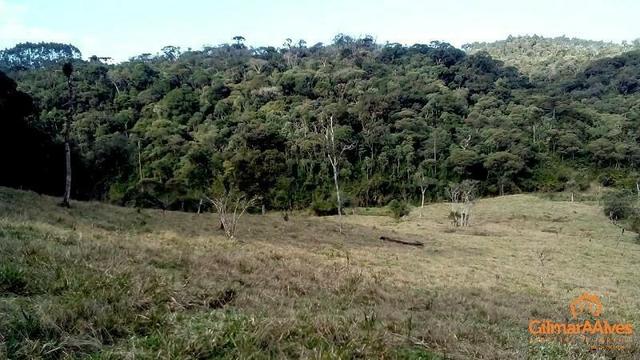 Fazenda para Venda, São Bento do Sul / SC, bairro Sertãozinho - Foto 7