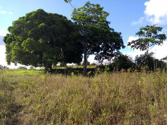 Sitio Próximo à Aracaju - Foto 8