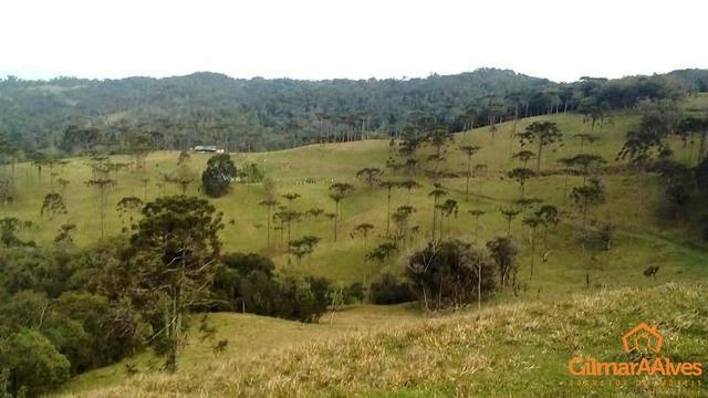 Fazenda para Venda, São Bento do Sul / SC, bairro Sertãozinho - Foto 9