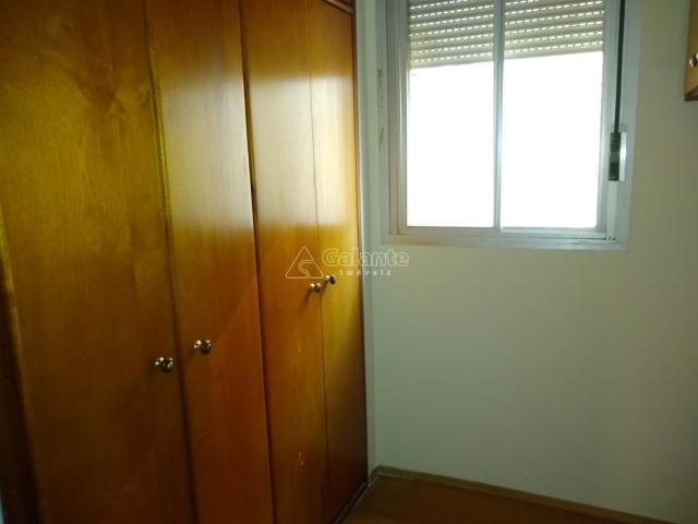 Apartamento para alugar com 2 dormitórios em Cambuí, Campinas cod:AP004050 - Foto 13