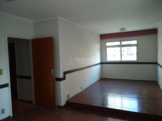 Apartamento para alugar com 2 dormitórios em Cambuí, Campinas cod:AP004050 - Foto 2