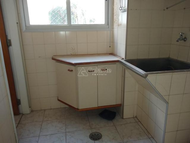 Apartamento para alugar com 2 dormitórios em Cambuí, Campinas cod:AP004050 - Foto 8