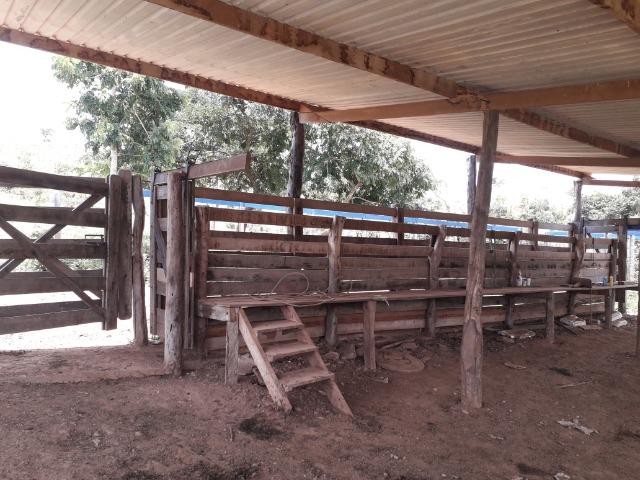 Fazenda à venda ou troca R$ 12 mil o Hectare- Zona Rural - Luziânia/GO - Foto 10