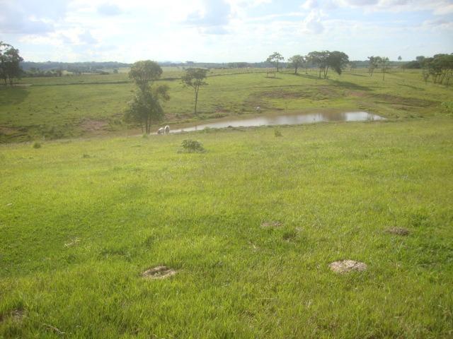 Fazenda 170 Alqueires, Região de Tatuí-Sp
