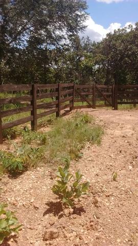 Oportunidades venda de fazenda de 14 alq em Uruaçu GO - Foto 2