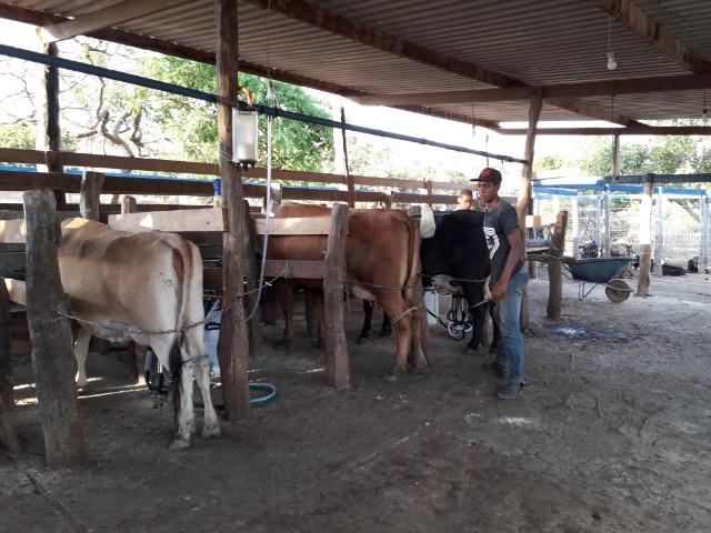 Fazenda à venda ou troca R$ 12 mil o Hectare- Zona Rural - Luziânia/GO - Foto 14