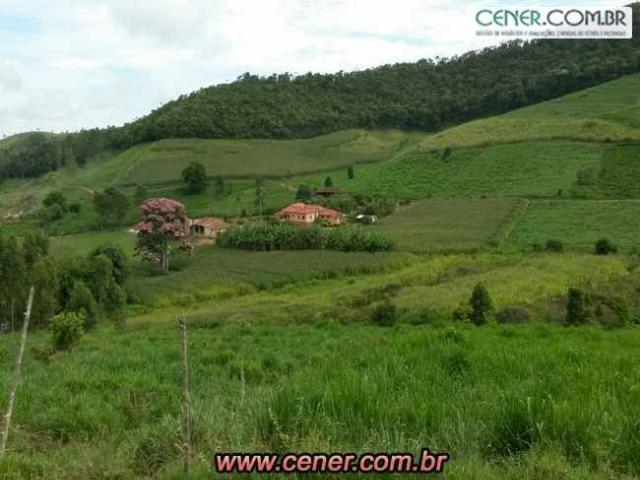 1620/Extraordinária fazenda de 220 ha com 2.000 l/leite dia de porteira fechada - oport - Foto 4