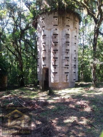 Chácara com 5.000 m² em quatro barras - Foto 3