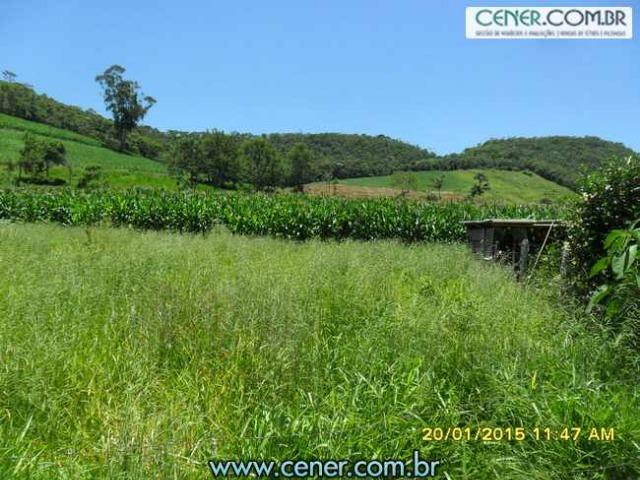 1620/Extraordinária fazenda de 220 ha com 2.000 l/leite dia de porteira fechada - oport - Foto 5