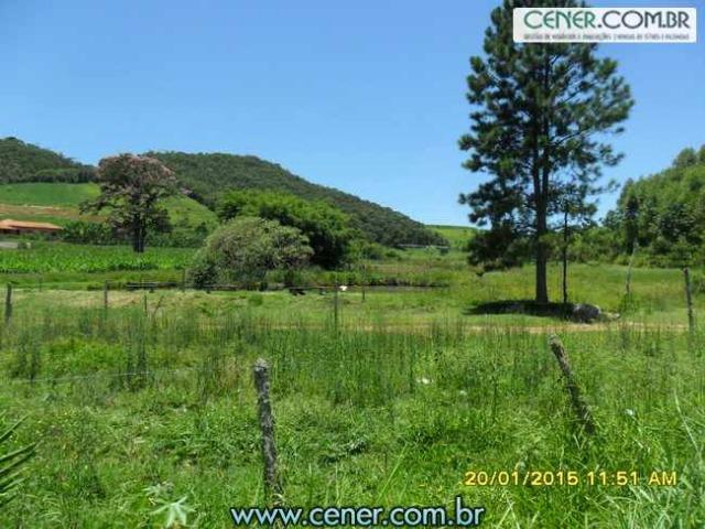 1620/Extraordinária fazenda de 220 ha com 2.000 l/leite dia de porteira fechada - oport - Foto 12