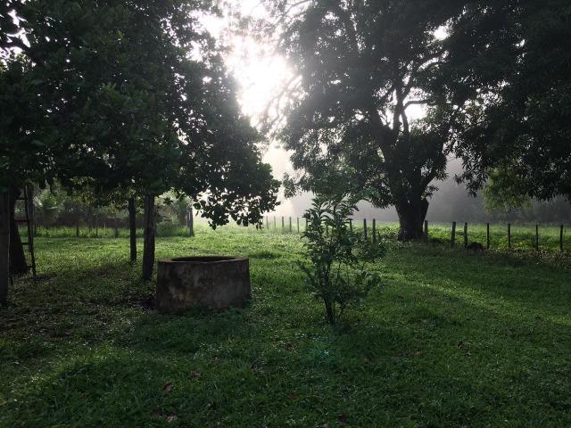 Bela fazenda com 450 hectares, super estruturada em Itapecuru -Mirim! - Foto 2