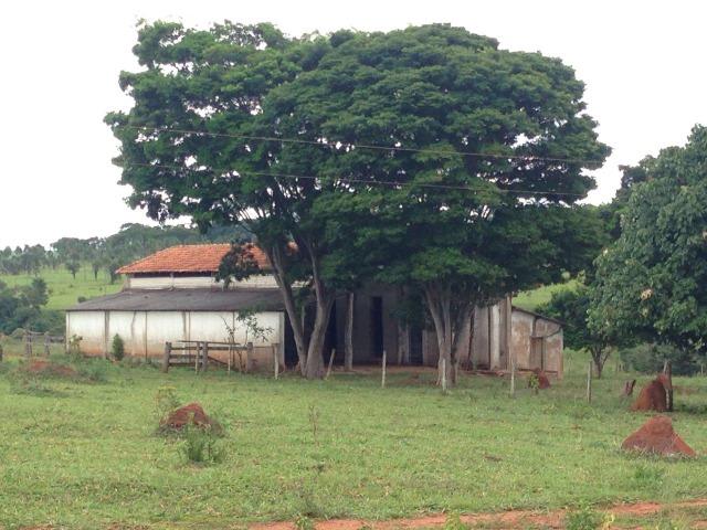 25 Alqueires-Avelinópolis Goiás-Próx. Goiânia-Excelente Preço R$ 150.000,00 o Alqueire - Foto 17