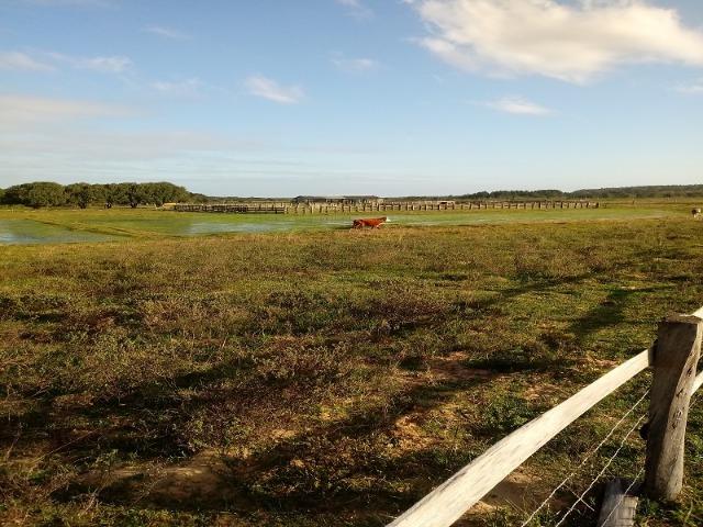 Bela Fazenda - Foto 18