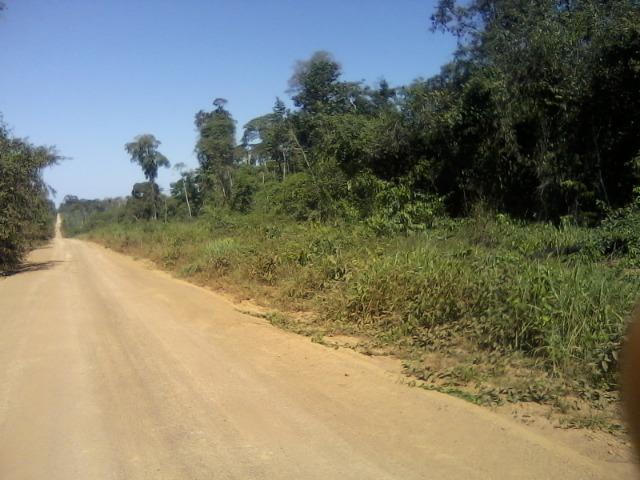 Ocasião,1000 hectares, terras para Soja,Região Vale Guaporé- MT
