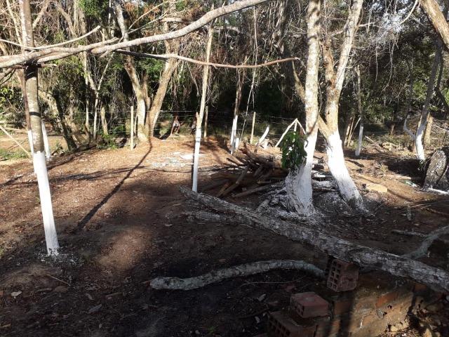 Terreno em Pindobal - Bambuí - Maricá - Foto 10