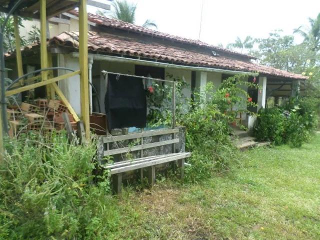 Fazenda no Litoral SUL da Bahia - Foto 3