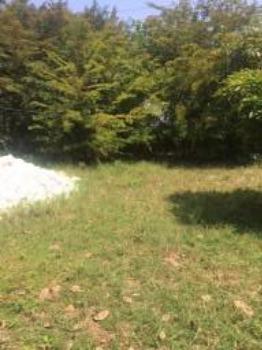 Granja-Chácara-Sítio 1,6 Hectares em Olinda, Aceito Automóvel ou imóvel - Foto 19
