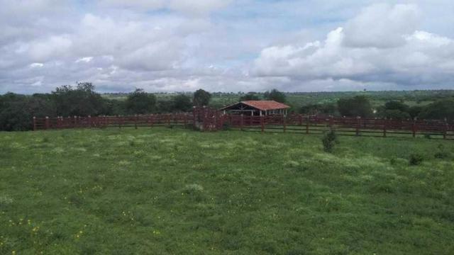 Excelente Fazenda em Feira de Santana-BA - Foto 11