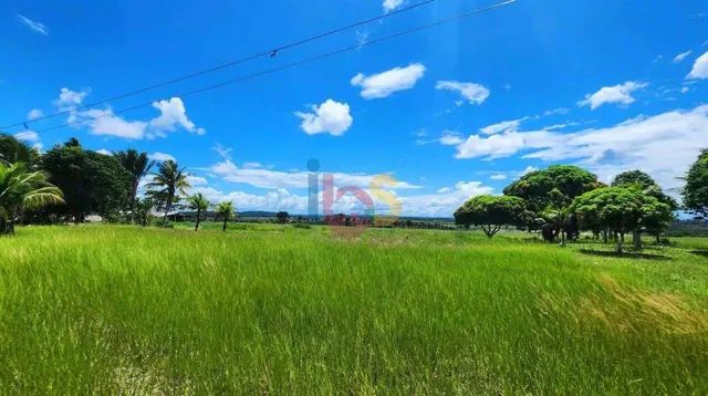 FAZENDA TRIÂNGULO - Foto 3