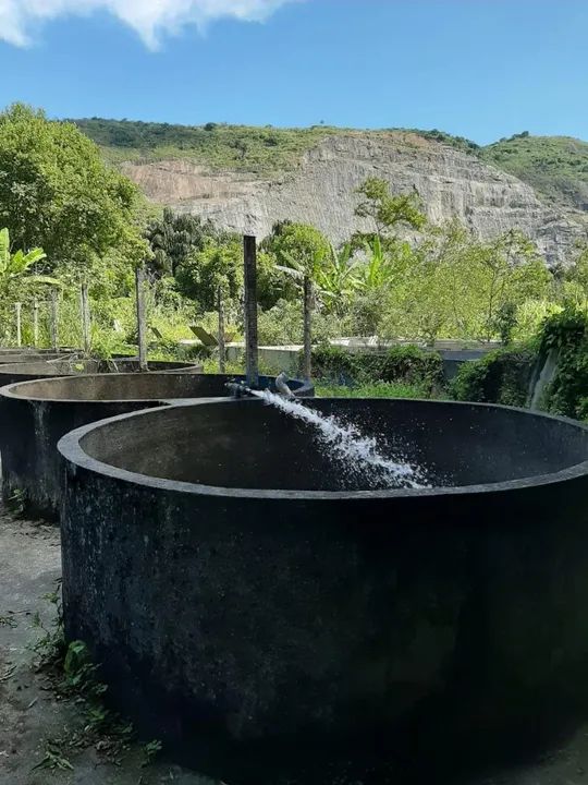 Vargem Pequena | Sítio - Foto 6