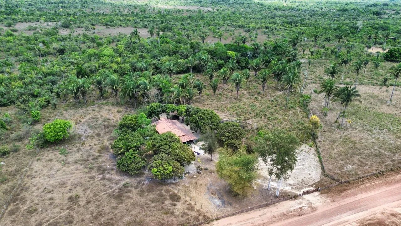 Drone DJI Mini 3  - Foto 3