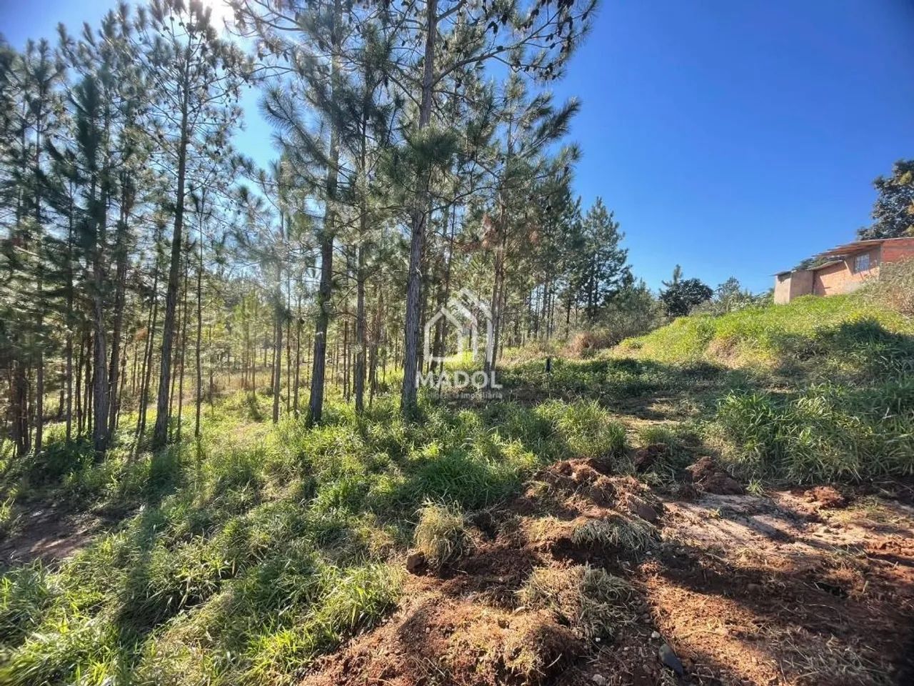 Terreno à venda, 720 m² por R$ 90.000 - Chapada - Ponta Grossa/PR