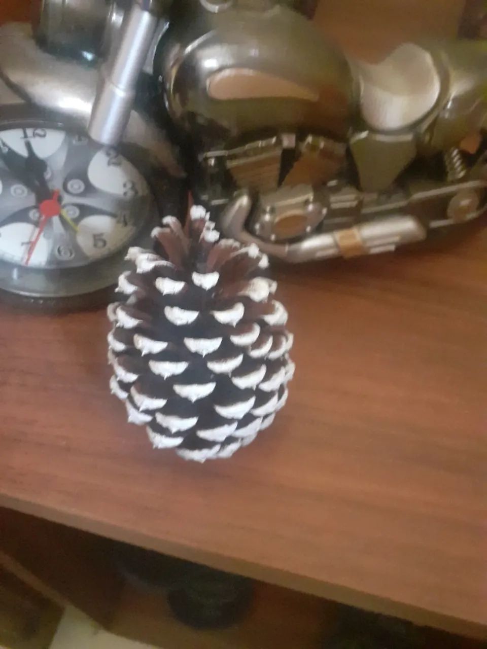Pinhas de Natal - Foto 4