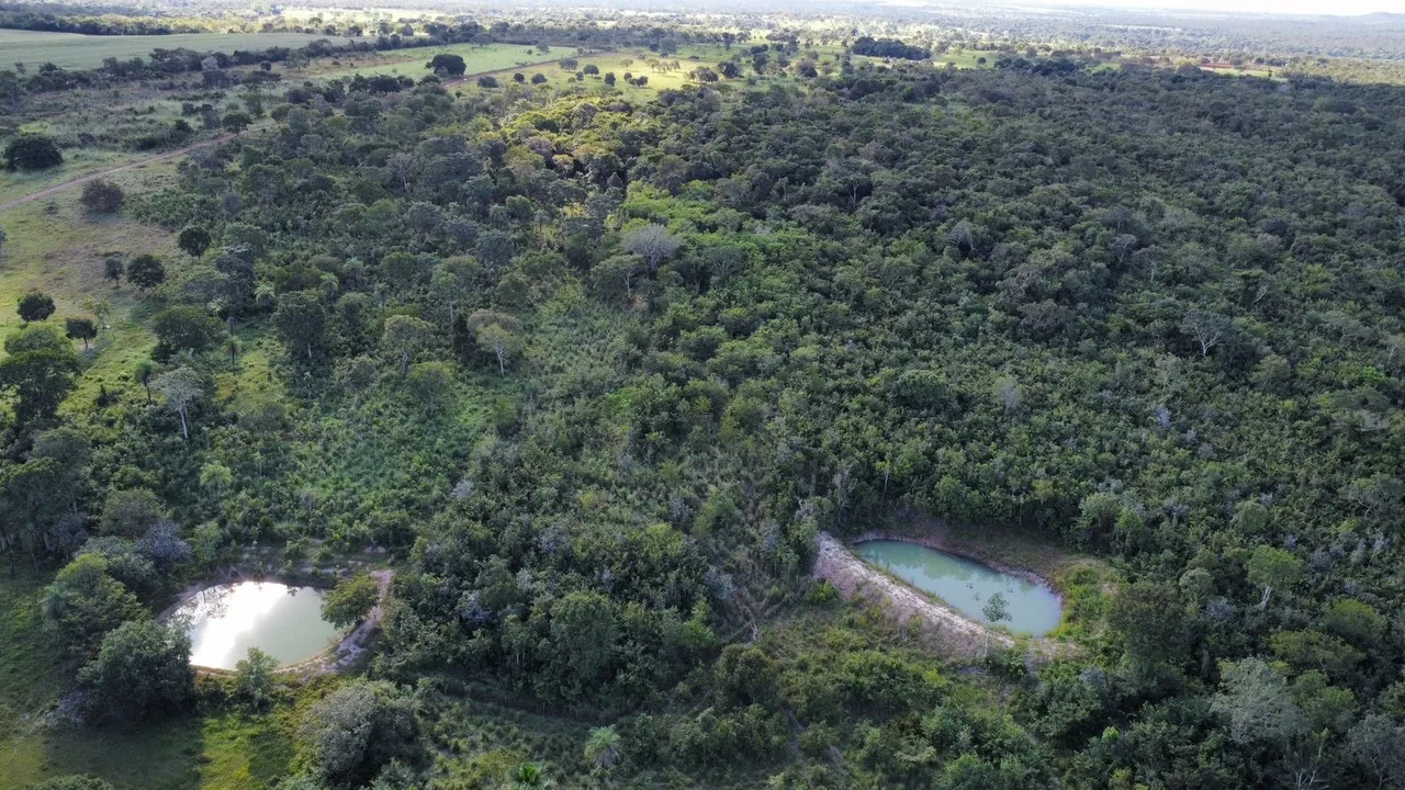 Chácara à Venda ? 12 km de Divinópolis do Tocantins