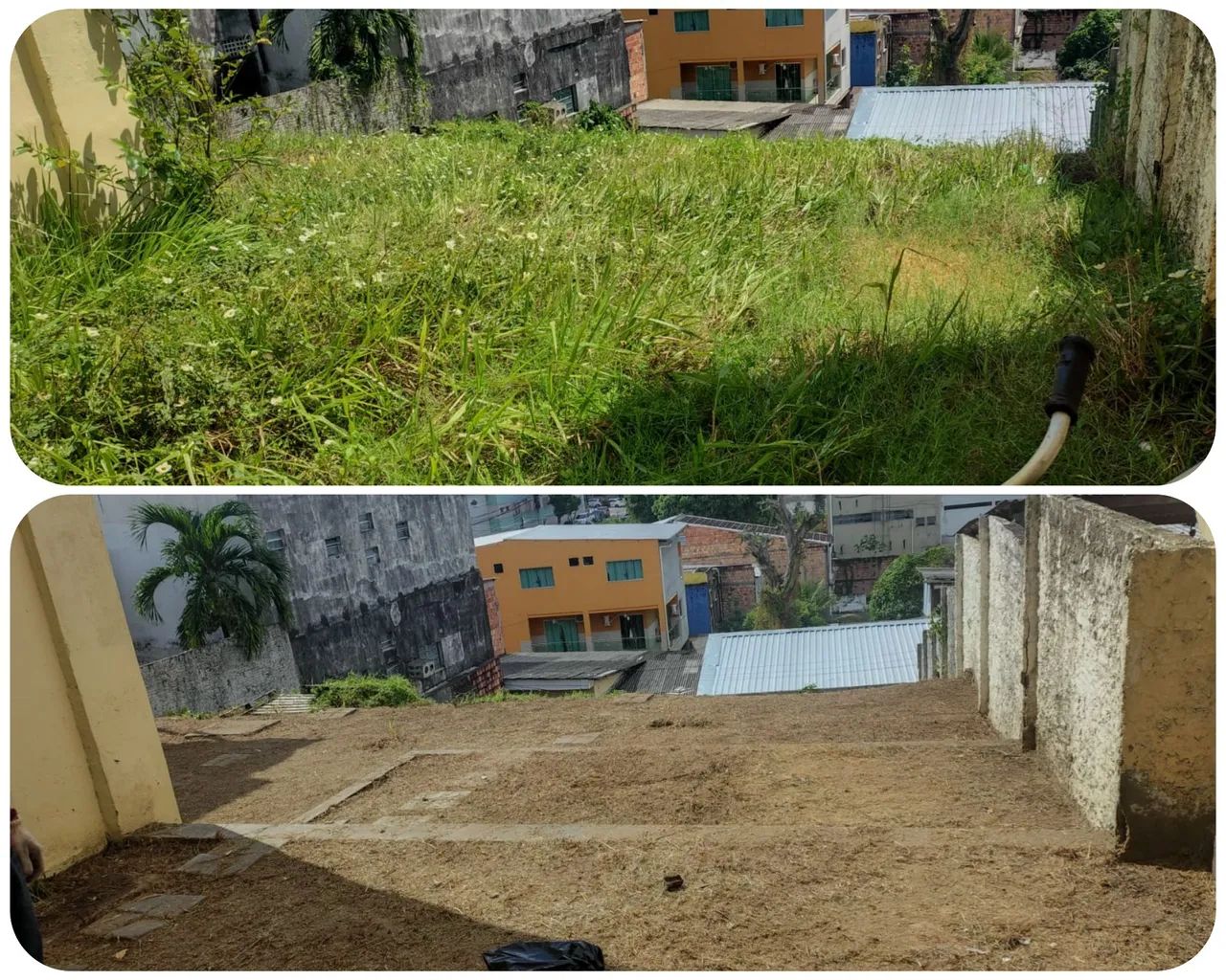 Roçador disponível de domingo a domingo 