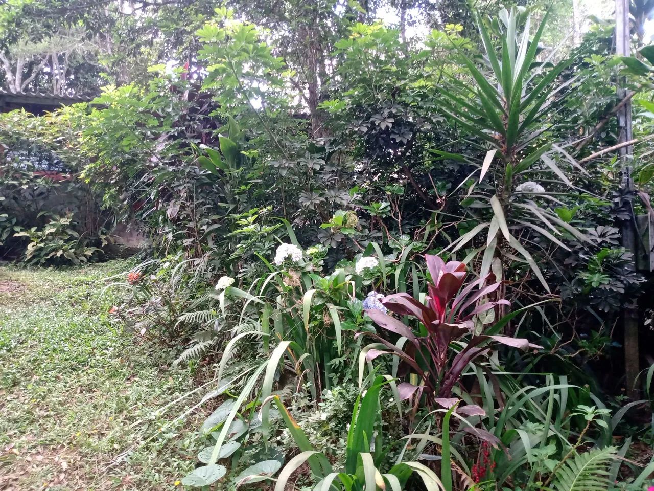 Vendo outro troco por casa - Foto 13